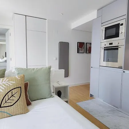 Amazing Stylish W Ac Balcony Elevator Daire